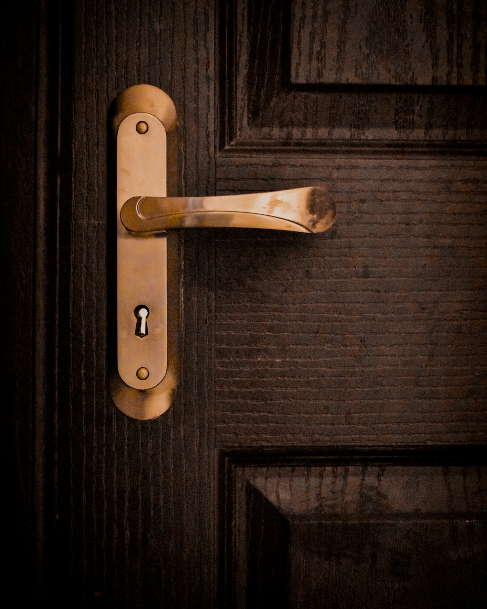 Unlacquered brass door handle on a dark wooden door